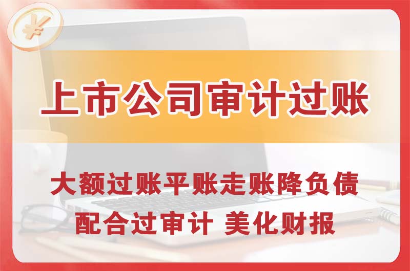 文登上市公司审计过账